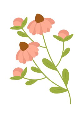 Tomurcukları ve yaprakları olan çiçek sapı temiz bir botanik görünümünde çizilmiş. Doğa temalı projeler için el çizimi kontur ve yumuşak şekil. Vektör illüstrasyonu