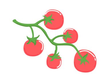 Sarmaşık ve yapraklı domates dalıyla kalın bir çizgi film görüntüsü. Taze bahçe gıda ve tarım temaları için konsept üretiyor. Vektör illüstrasyonu