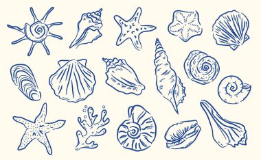 Deniz yıldızı, deniz kabuğu, deniz tarağı, mercan ve sarmal salyangoz koleksiyonu. Plaj tatili, okyanus doğası, yaz havası ve kıyı dekorunun sembolü. Çizgi film vektör illüstrasyonu.