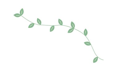 İnce bir bukle sapı ve dağınık yaprakları olan sarmaşık dalı. Büyümenin, doğanın, ekolojik dengenin ve sağlığın ve sürdürülebilirliğin sembolü. Çizgi film vektör illüstrasyonu.
