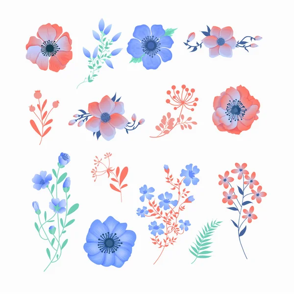 Ensemble floral de belles fleurs et feuilles — Image vectorielle