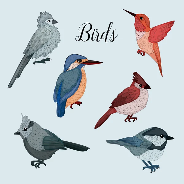 Birds Set in Hand Drawn Style — Stockový vektor
