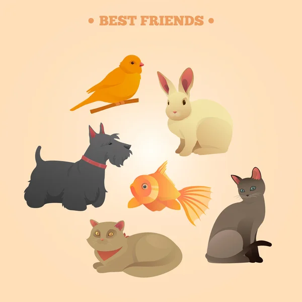 Home Pets Set: Carrot, Dog, Rabbit, Fish and Cats — Stok Vektör