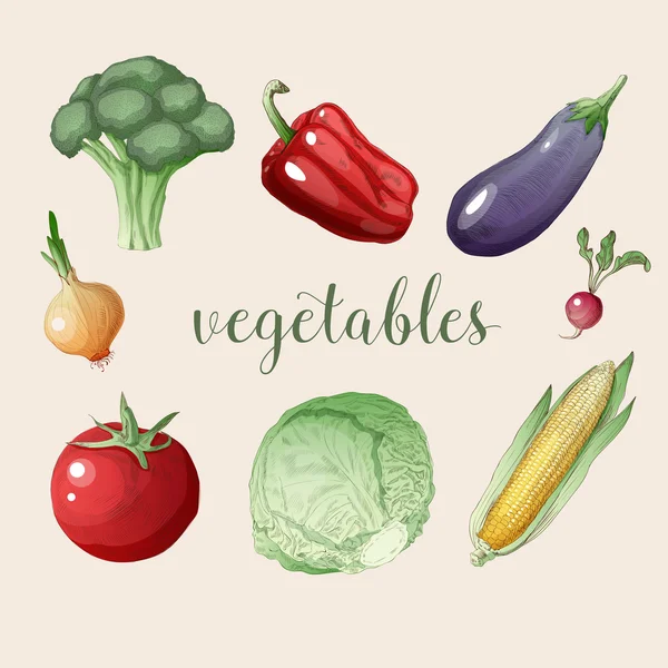 Sayuran ditata dalam Gaya Vintage. Makanan Sehat - Stok Vektor