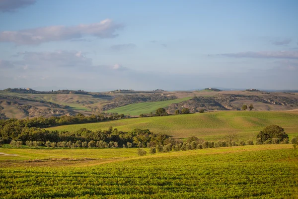 Scenic view of typical Tuscany landscape, Italy — Stock Photo, Image