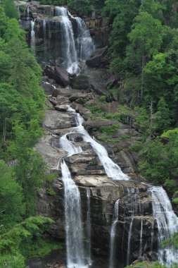 Majestic Whitewater Falls