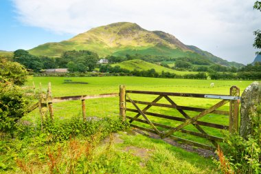 Güzel dağ manzarası, dramatik bulutlar ve koyunların otladığı huzurlu yaz otlakları, ılık Ağustos güneşinde..