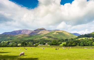 Güzel dağ manzarası, dramatik bulutlar ve koyunların otladığı huzurlu yaz otlakları, ılık Ağustos güneşinde..
