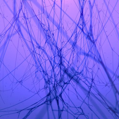 Pembe, gizemli arkaplan üzerine üç boyutlu örümcek ağı dijital çizimi. Soyut renkli mistik zemin