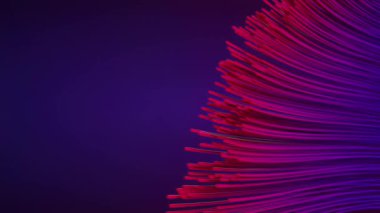 Optik fiberi andıran zarif, üç boyutlu çizgilerin 4K animasyonu. Çizgiler pembeden mora doğru eğimli. Hareket tasarımı için ideal.