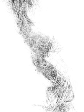 beyaz zemin üzerinde soyut eğrileri