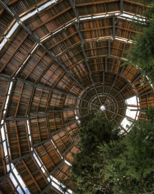 Bavyera ormanı Treetop yürüyüş