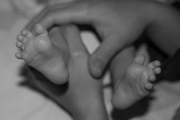 Nouveau-né pieds de bébé dans les mains des mères — Photo