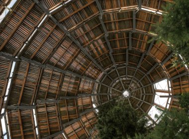 Bavyera ormanı Treetop yürüyüş