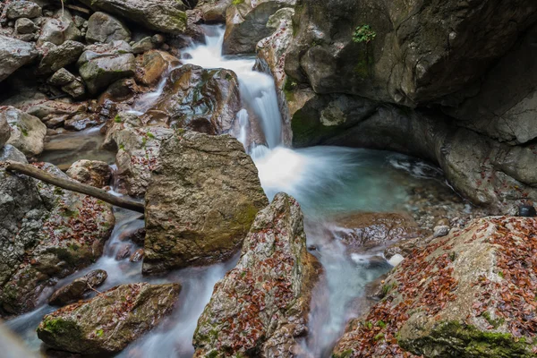 Creek Avusturya - Seisenbergklamm — Stok fotoğraf