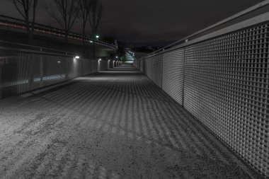 Gece atış köprü Regensburg, Bavyera, Almanya