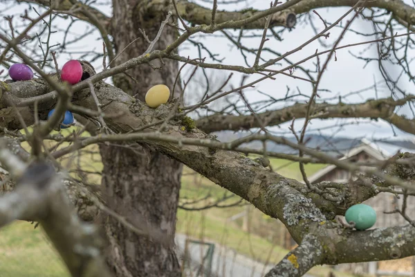 Colorful easter eggs and easter bunny on a tree
