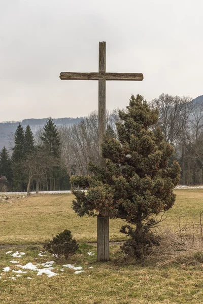 Wayside çarmıhta kış bir çayırda bir ağaç