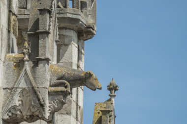 Dom St. Peter Regensburg'da hatlarıma