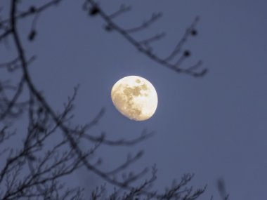 Ufuk üzerinde yükselen moon