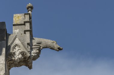 Dom St. Peter Regensburg'da hatlarıma