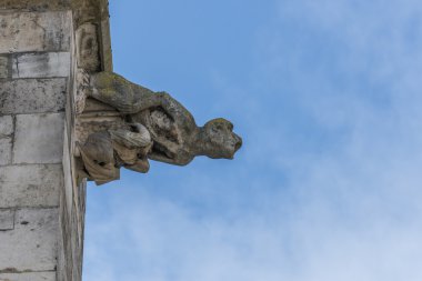Dom St. Peter Regensburg'da hatlarıma