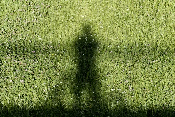 Sombra de um homem com bicicleta na grama verde — Fotografia de Stock