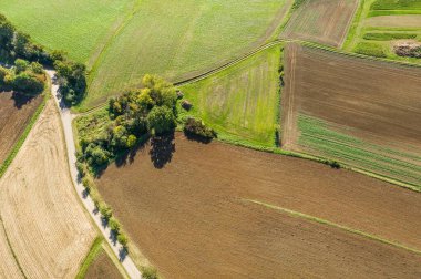 Almanya 'nın Bavyera kentindeki toprak yol, ağaçlar ve ekilebilir arazili kırsal bir arazinin havadan çekilmiş resmi.