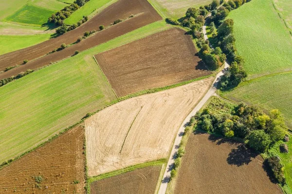 Kép Bajorországban Németország Található Földút Fák Szántóföldek Rétek Légi Felvételéről — Stock Fotó