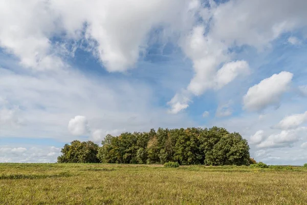 Afbeelding Van Een Groep Bomen Een Weide Met Lucht Wolken — Stockfoto