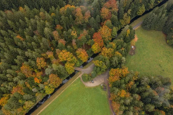 Image Aerial View Trees Forest Tree Tops Bavarian Forest Germany — Stock Photo, Image