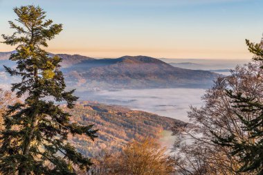 Almanya 'nın Bavyera Ormanı' ndaki Koenigsstein yakınlarındaki Ruselabsatz 'da Alman Alpleri Dağları' na bakan Panorama Manzarası ve Günbatımı