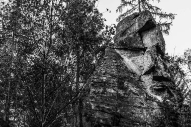 Rattenberg yakınlarındaki Teufelsmuehle yakınlarında bulunan gizemli rock grubu ve taş grubu Teufelsstein 'in siyah ve beyaz görüntüsü bir şeytanın yüzünün doğal kaynağı ve doğal fenomeni olan Bavyera Ormanı' nın yüzüyle ya da somurtmasıyla karşı karşıya.
