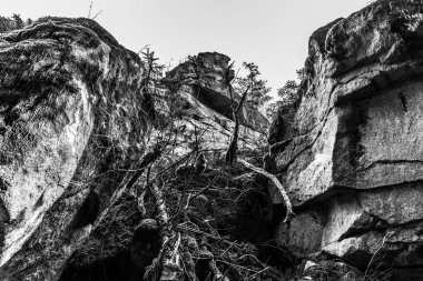 Rattenberg yakınlarındaki Teufelsmuehle yakınlarında bulunan gizemli rock grubu ve taş grubu Teufelsstein 'in siyah ve beyaz görüntüsü bir şeytanın yüzünün doğal kaynağı ve doğal fenomeni olan Bavyera Ormanı' nın yüzüyle ya da somurtmasıyla karşı karşıya.