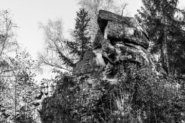 Rattenberg yakınlarındaki Teufelsmuehle yakınlarında bulunan gizemli rock grubu ve taş grubu Teufelsstein 'in siyah ve beyaz görüntüsü bir şeytanın yüzünün doğal kaynağı ve doğal fenomeni olan Bavyera Ormanı' nın yüzüyle ya da somurtmasıyla karşı karşıya.