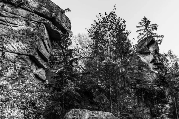 Czarno Biały Obraz Mistycznej Grupy Rockowej Grupy Kamiennej Teufelsstein Pobliżu — Zdjęcie stockowe