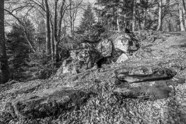 Siyah ve beyaz görüntüler Eski aşınmış granit kaya oluşumu mağara ve kırılma noktalarıyla Geisslinger Stein Koenigstein ve Hausstein yakınlarındaki Rusel ve Ruselabsatz ormanlarında Deggendorf ve Regen yakınlarındaki Bavyera Ormanı 'nda, Almanya