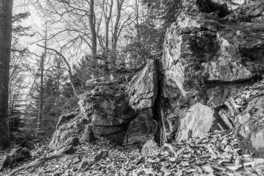 Siyah ve beyaz görüntüler Eski aşınmış granit kaya oluşumu mağara ve kırılma noktalarıyla Geisslinger Stein Koenigstein ve Hausstein yakınlarındaki Rusel ve Ruselabsatz ormanlarında Deggendorf ve Regen yakınlarındaki Bavyera Ormanı 'nda, Almanya
