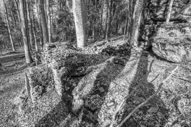 Siyah ve Beyaz. Eski taş, Almanya 'nın Deggendorf ve Regen yakınlarındaki Bavyera Ormanı' nda Geisslinger Stein Koenigstein ve Hausstein yakınlarında Rusel ve Ruselabsatz yakınlarında harabe bir manastır inşa etti.