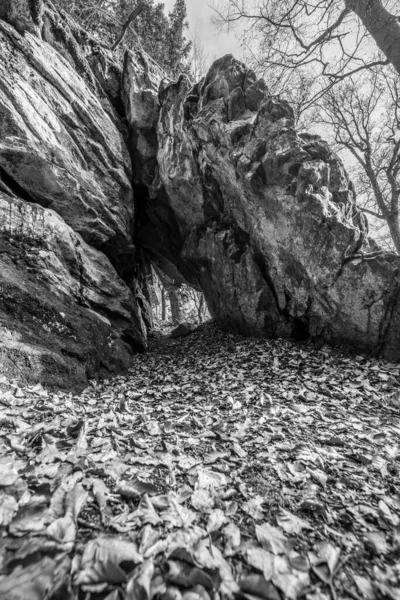 黒と白の画像ドイツのレーゲンとレーゲンの近くのバイエルンの森のGeisslingerシュタイン ケーニヒシュタインとハウスシュタイン近くのロシアとロシアの森の中で洞窟と突破口を持つ古い風化花崗岩の岩の形成 — ストック写真