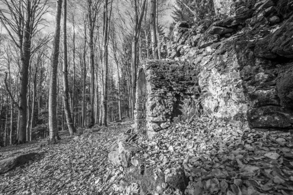 Чорно Біле Зображення Старий Камінь Побудував Розмитий Монастирський Руїни Руїнах — стокове фото