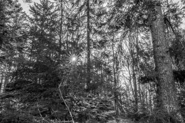 Schwarz Weiß Bild Der Hausstein Rusel Ruselabsatz Bei Geisslinger Stein — Stockfoto