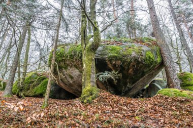 Antik çağlarda, Almanya 'nın Thürmansbang kenti yakınlarındaki Bavyera ormanında mağara ve çığır açan taş oluşumları ile megalitik kaya oluşumlarına dayandı.