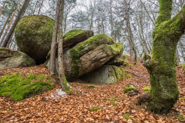 Antik çağlarda, Almanya 'nın Thürmansbang kenti yakınlarındaki Bavyera ormanında mağara ve çığır açan taş oluşumları ile megalitik kaya oluşumlarına dayandı.
