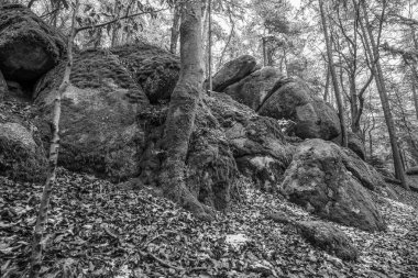 Antik çağlarda, Almanya 'nın Thürmansbang kenti yakınlarındaki Bavyera ormanında mağara ve çığır açan taş oluşumları ile megalitik kaya oluşumlarına dayandı.