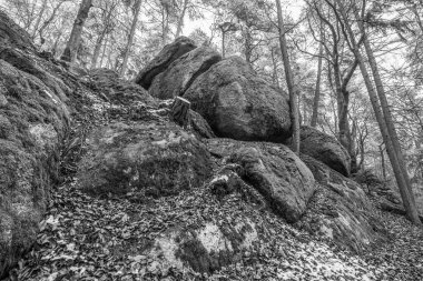 Antik çağlarda, Almanya 'nın Thürmansbang kenti yakınlarındaki Bavyera ormanında mağara ve çığır açan taş oluşumları ile megalitik kaya oluşumlarına dayandı.