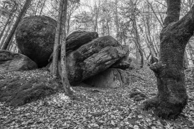 Antik çağlarda, Almanya 'nın Thürmansbang kenti yakınlarındaki Bavyera ormanında mağara ve çığır açan taş oluşumları ile megalitik kaya oluşumlarına dayandı.