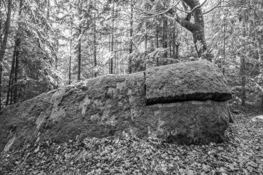 Antik çağlarda, Almanya 'nın Thürmansbang kenti yakınlarındaki Bavyera ormanında mağara ve çığır açan taş oluşumları ile megalitik kaya oluşumlarına dayandı.