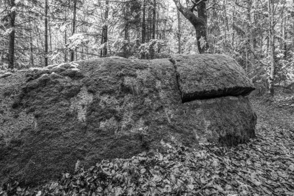 Antiga Formação Rochosa Megalítica Granito Com Caverna Avanço Floresta Bávara — Fotografia de Stock