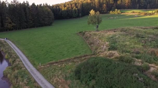 Trage Vluchtvideo Van Luchtfotografie Met Drone Beierse Bossen Bij Grafenau — Stockvideo